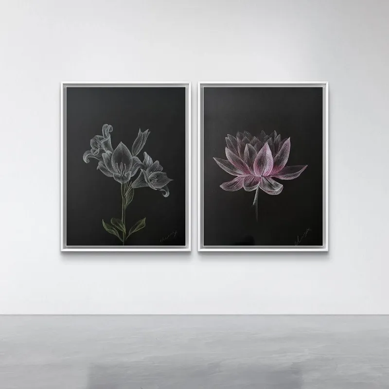 Framed lily and pink lotus drawings on black paper.